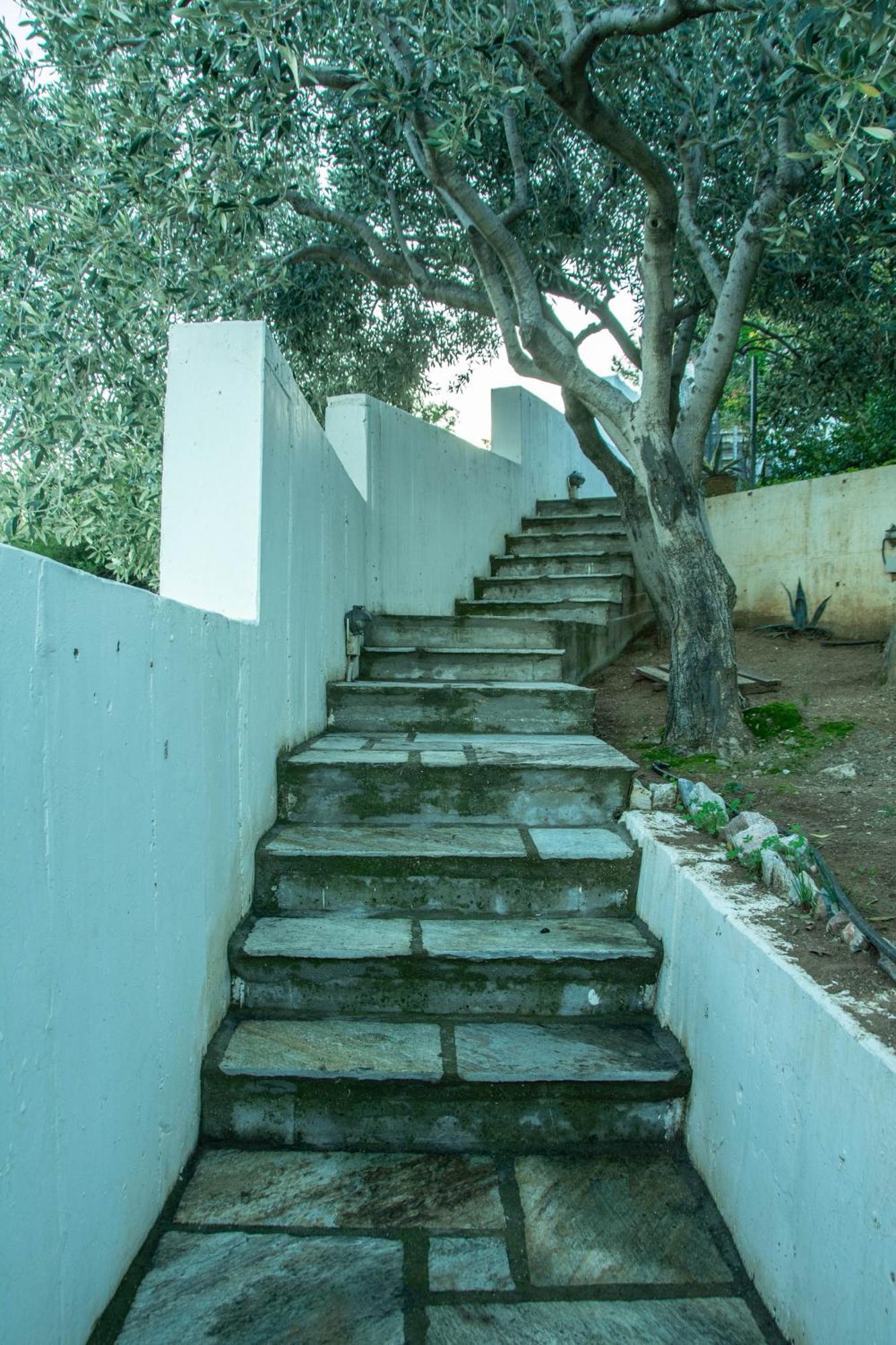 Maya'S Home Dhaskalion Exterior photo
